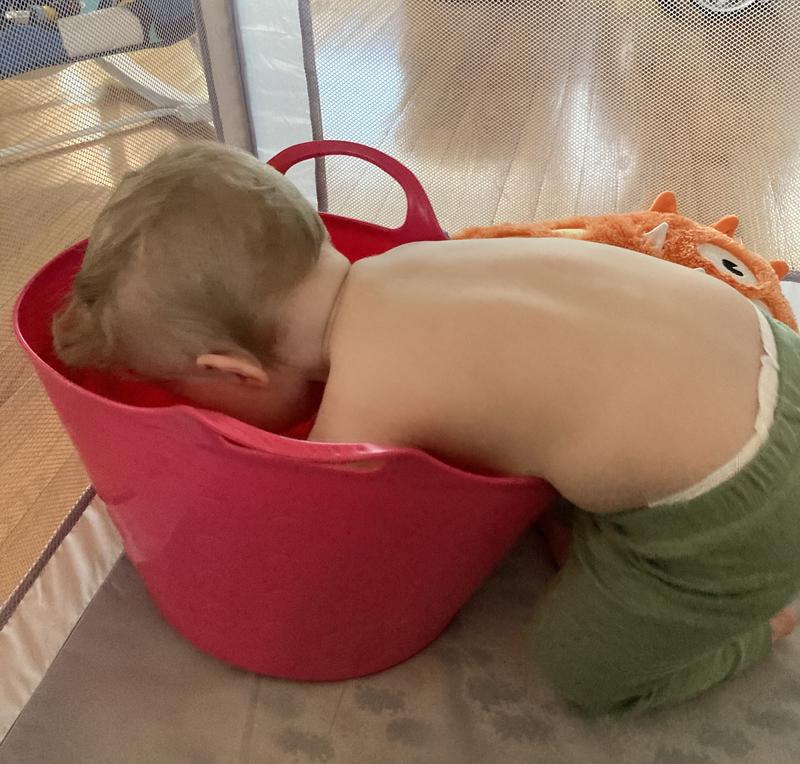 Baby’s New Toy