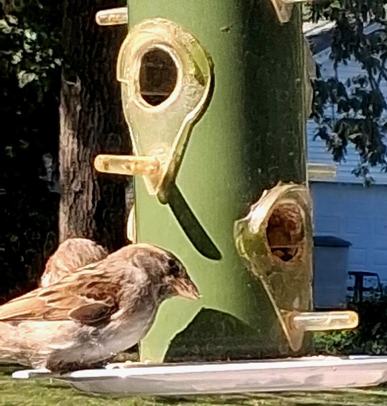 Gets a bit crowded at times...