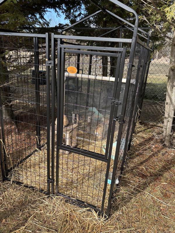 We use our pens for our four rabbits by adding a simple divider to each cage.
