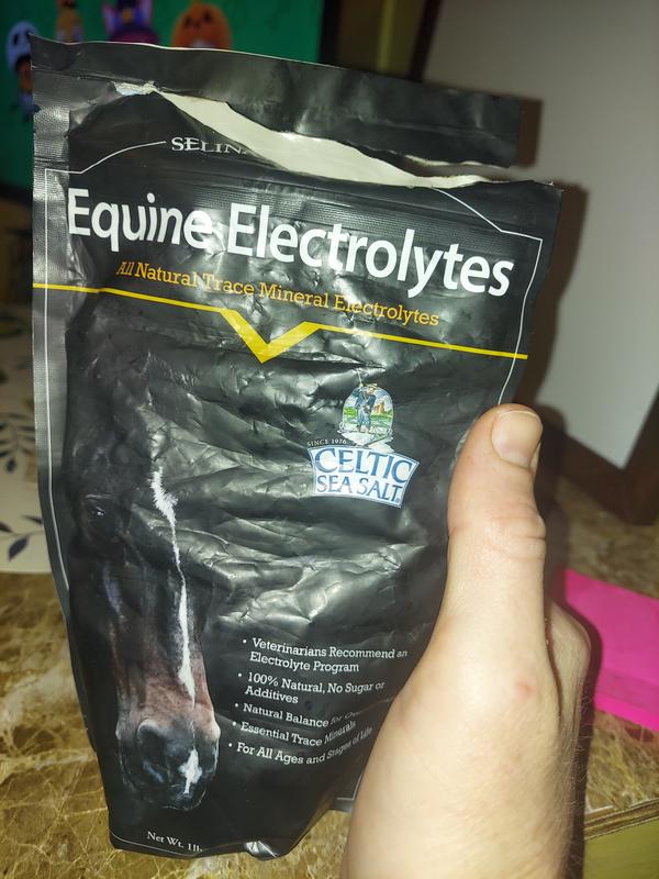 Celtic Salt (equine)