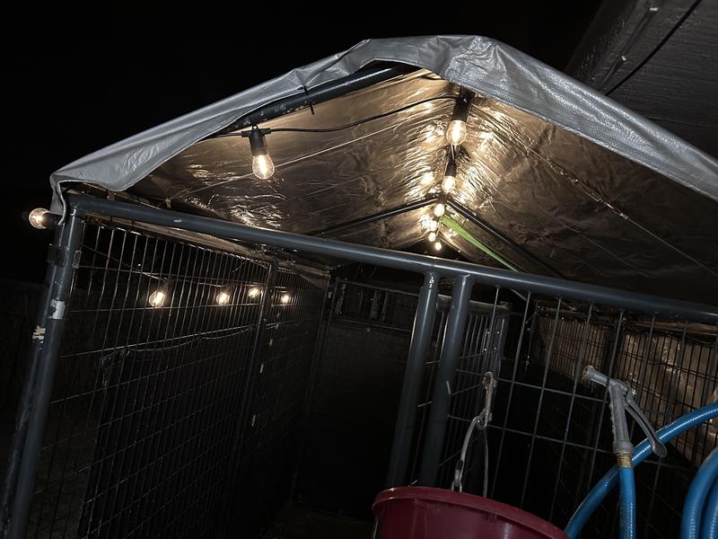 Temp cover until canvas came in