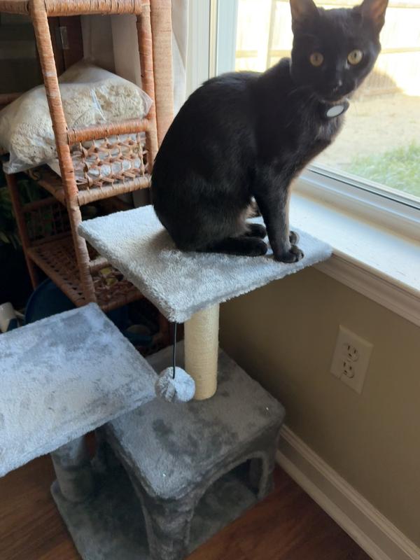 Same height as my windowsill!