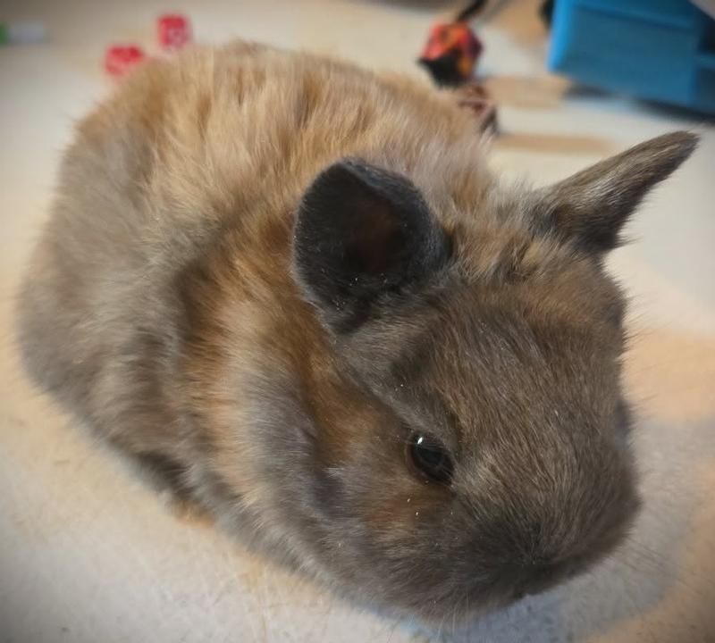 Potato