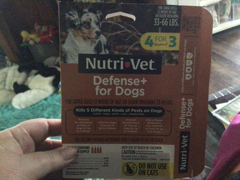 This is the box