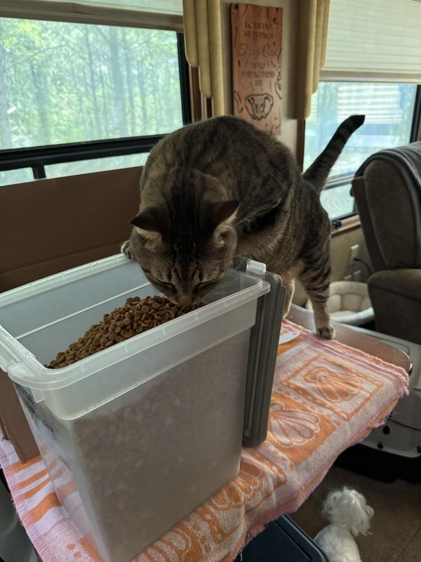 Can’t wait for the bowl