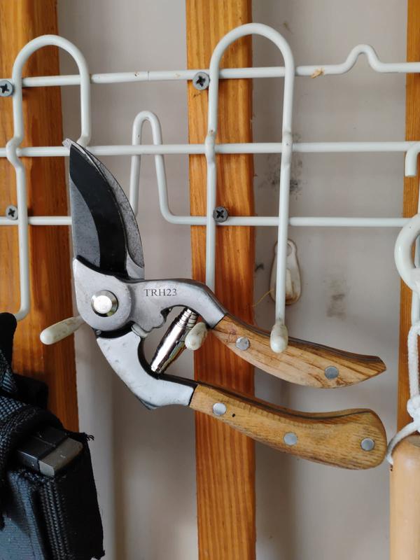 Hanging on my shop wall.