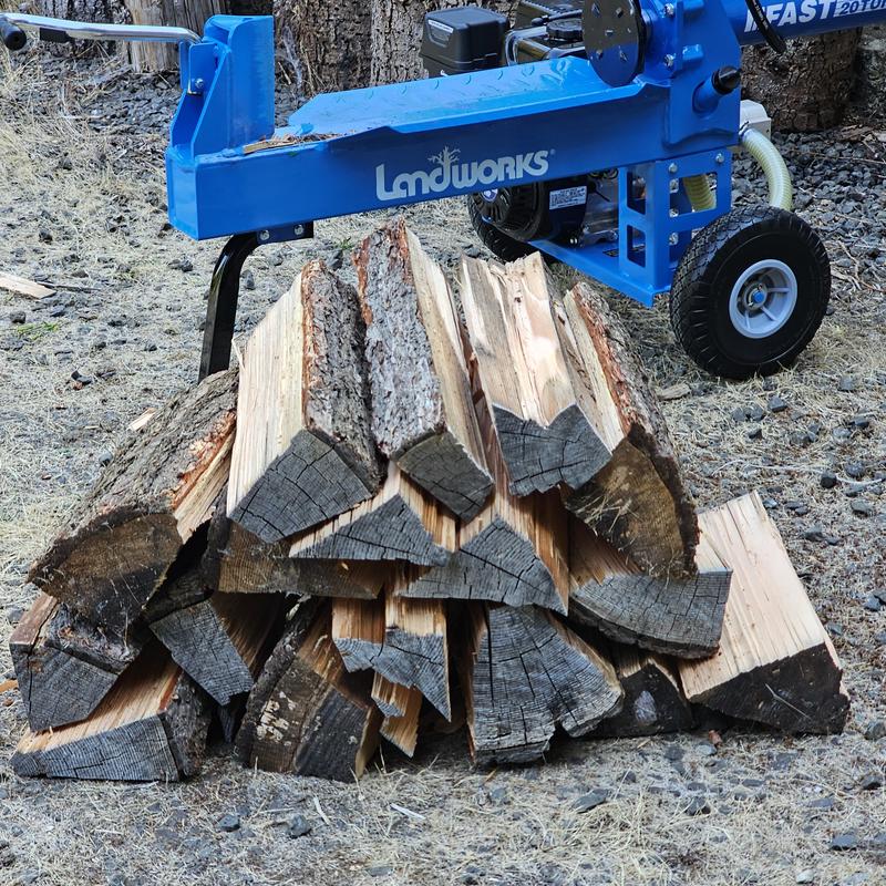 About 17 pieces of firewood from the first 20-inch round.