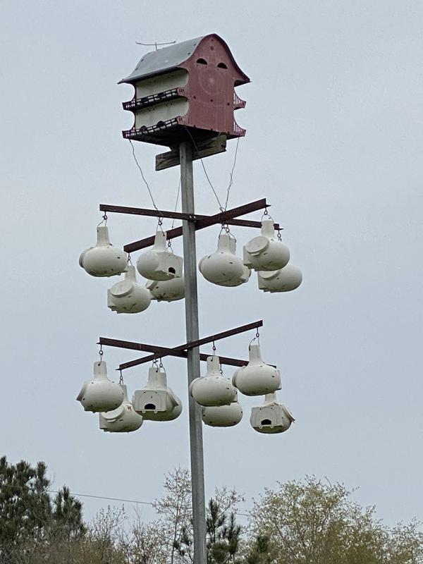 16 Gourd Houses with 16 room Barn House