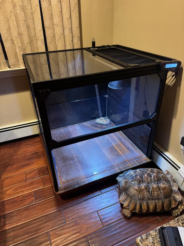 My Sulcata tortoise enjoying his indoor enclosure with the Arcadia Pro T5 UVB light installed.
