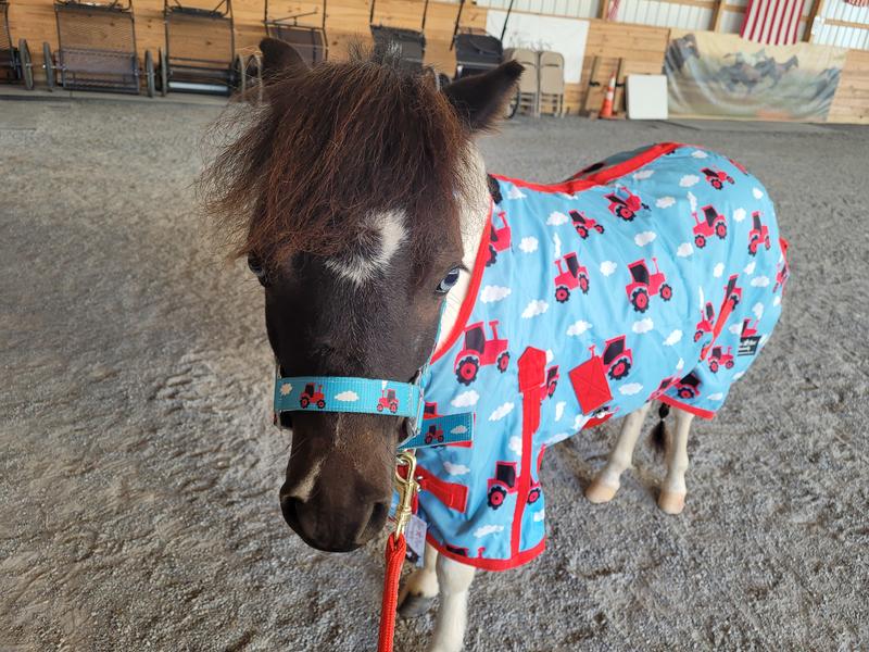 She Thinks my Tractors Sexy