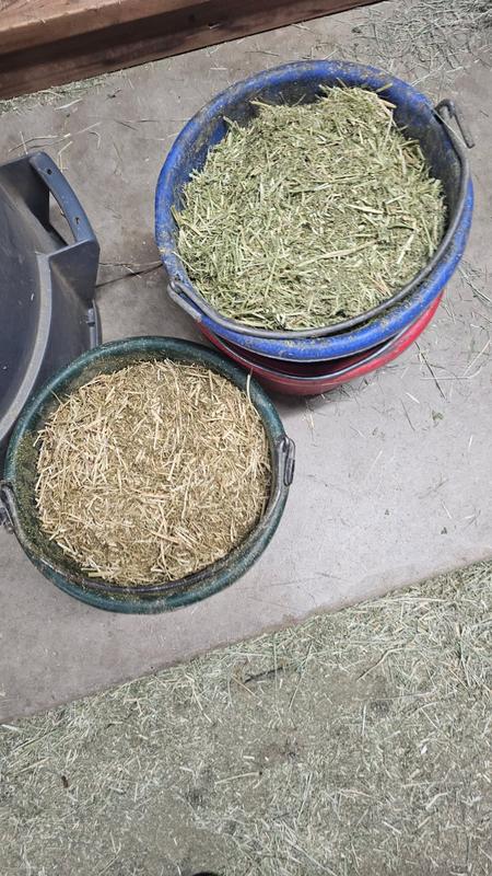 Two different bags- completely different colors