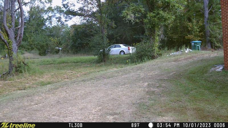 Review photo 4.