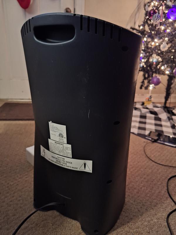 The back