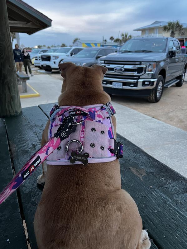 It’s also extremely reflective