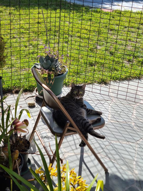 Enjoying the fresh air!
