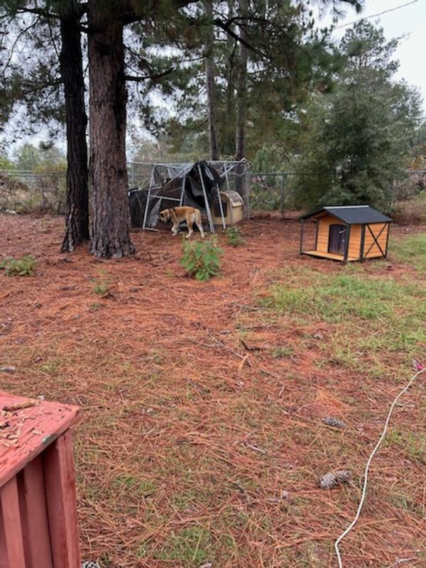 Disappointing, her last doghouse was a large, the new one is smaller than the old one.