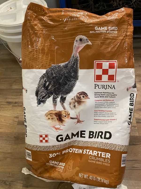 Game bird food for my quail