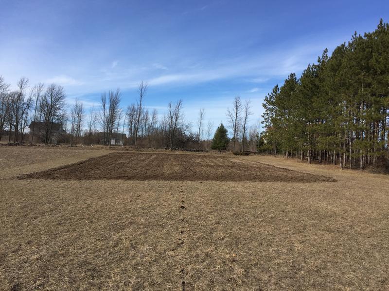 Field of prairie grass