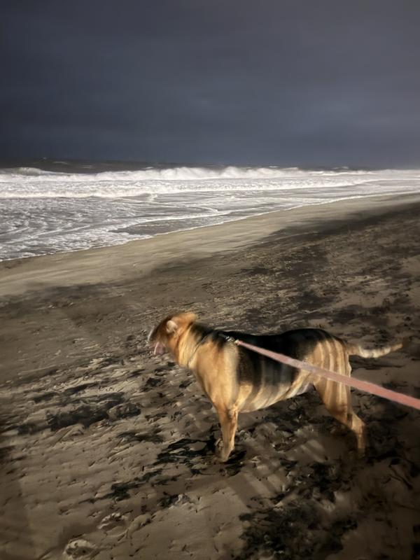 JayCee during  NorEaster