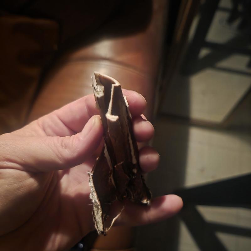 Review photo 3.