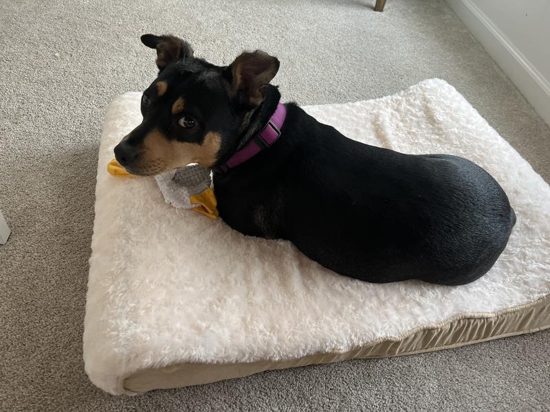Nap time, sorta