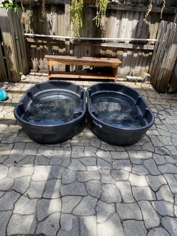 Pools ready for our pups