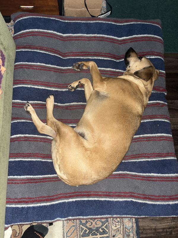 Comfortable in my bed