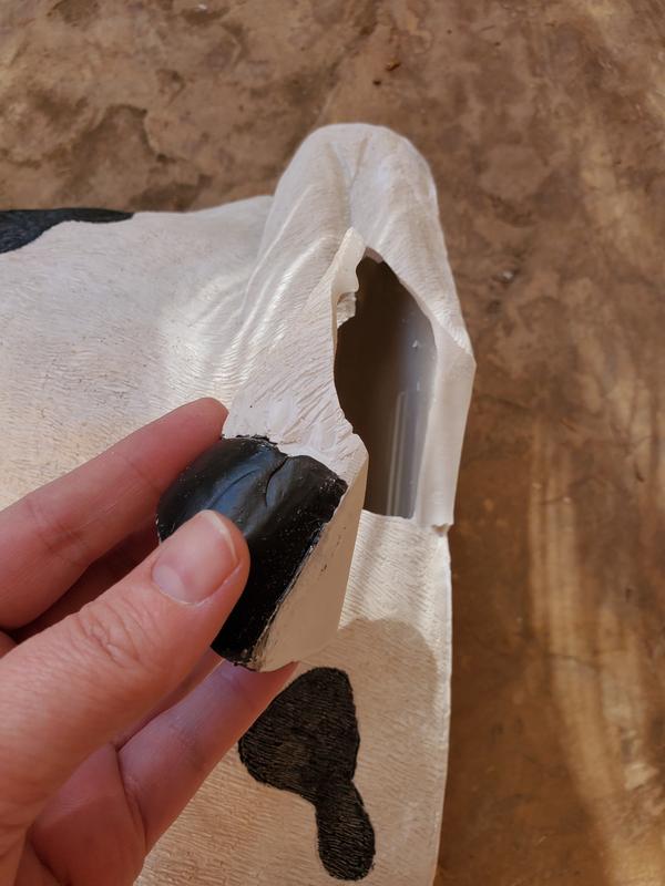Review photo 4.