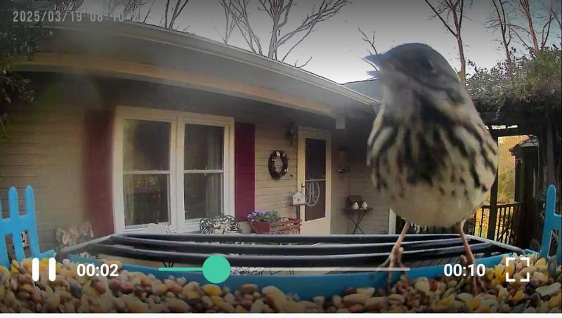 The birds love TSC bird seed