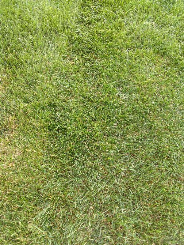 Review photo 4.