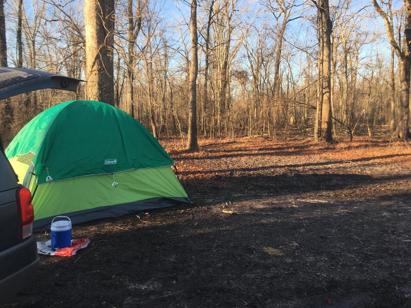 Delta National Forest (just mud & trees—would not recommend—but the tent made it livable)
