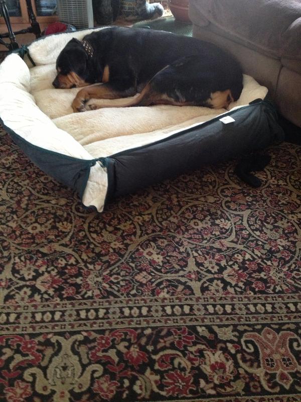 120-lbs. of Cozy Love