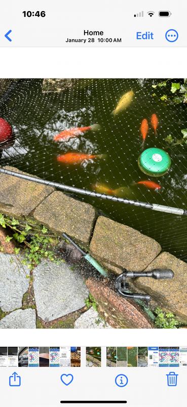 Fish were happy!