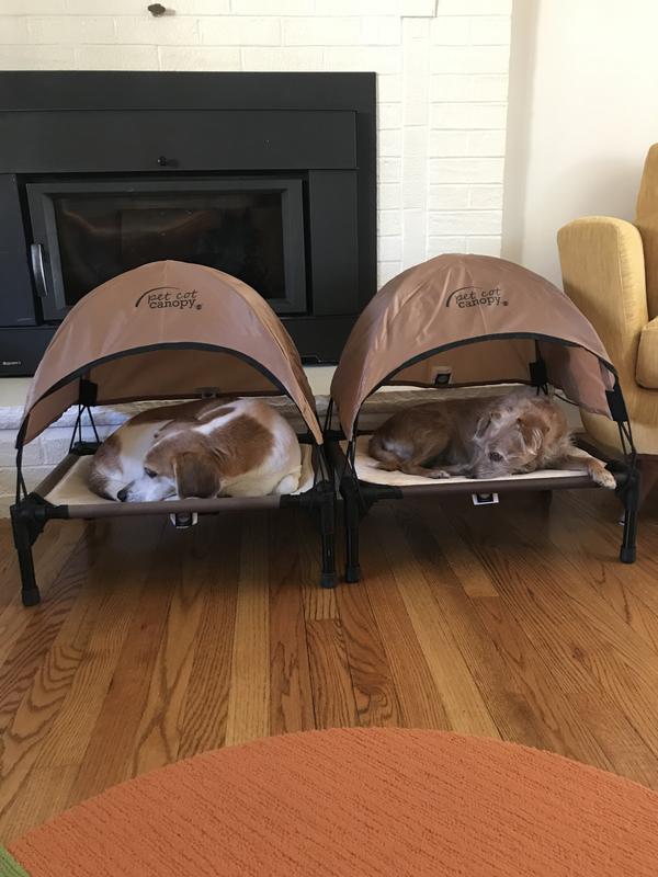 Small canopy on the small bed. The hound and terrier love them!