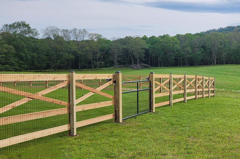 Gate with cedar fence