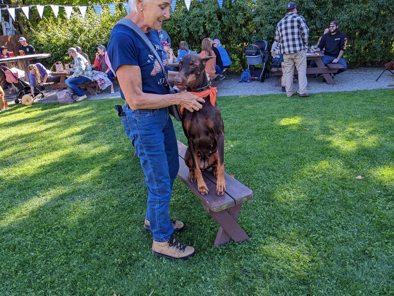 Don't have photos of just wearing these, just me doing stuff while wearing them.