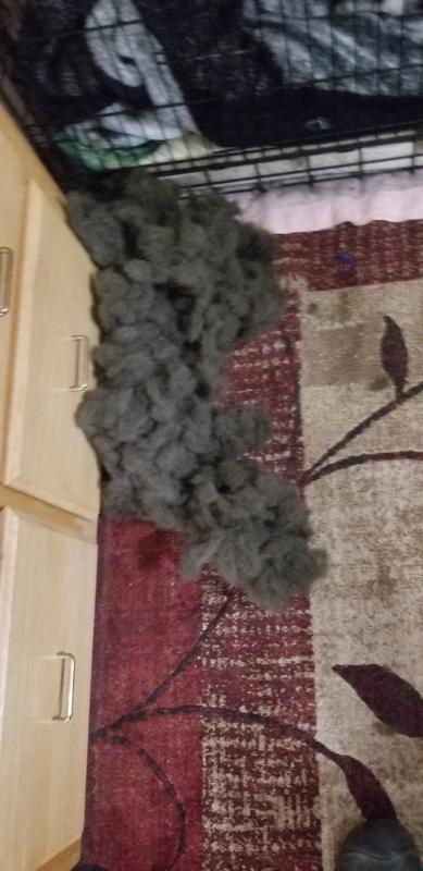 These were the first couple hours. Got a lot worse.