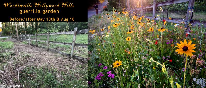 woodinville wa