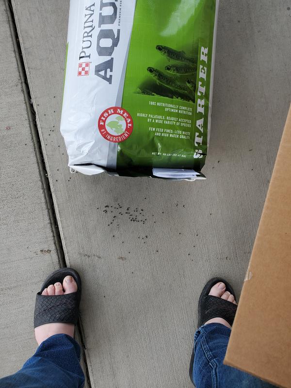 Review photo 1.