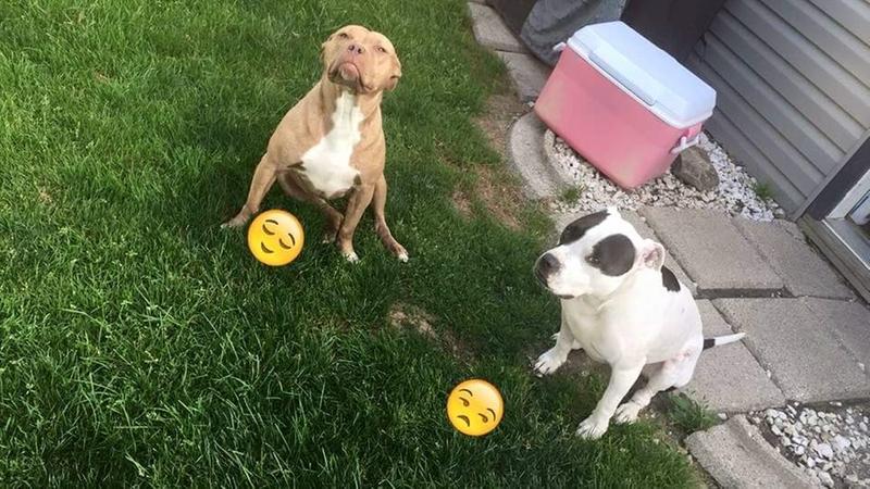 After their bath!
