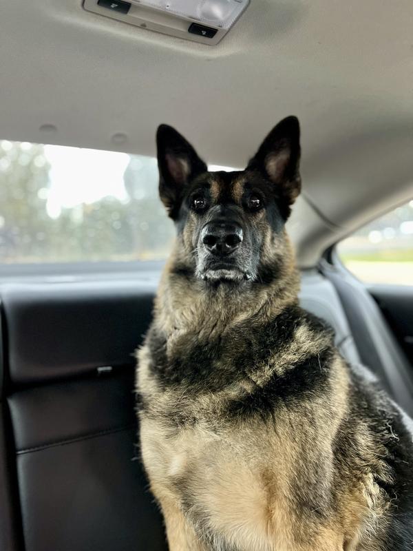 On our way to tractor supply