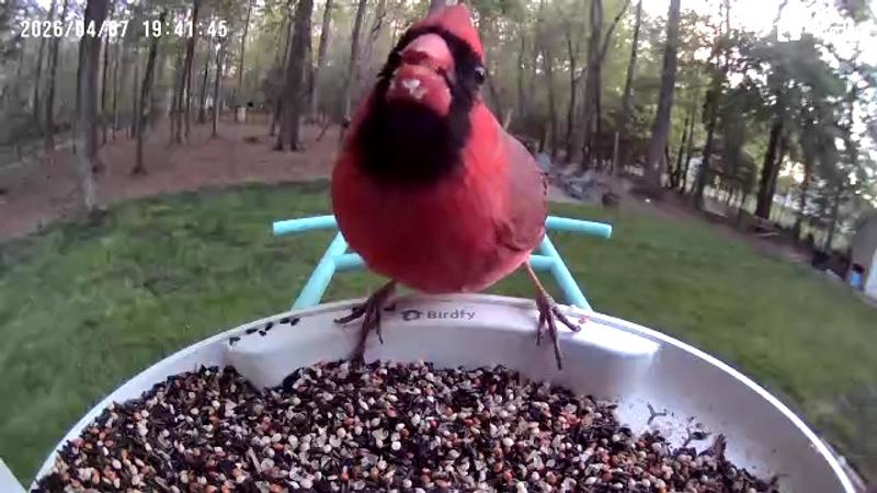 Thanks for the seed!