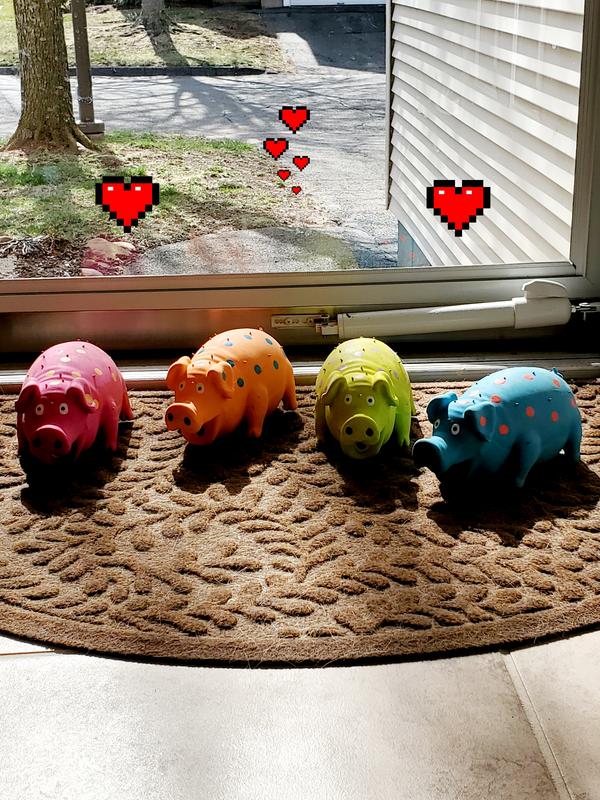 Charlotte's piggies