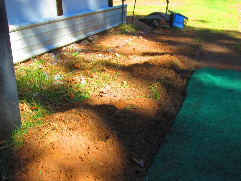 this critter has killed all of my plants and has gone under our home tunneling and I now have to call pest control because the repellent does not work!