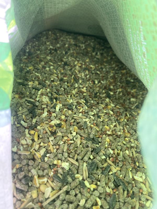 Missing about 1/3 a bag upon delivery… need to be shipped inside of a box. Not worth the subscription after loss during damages.