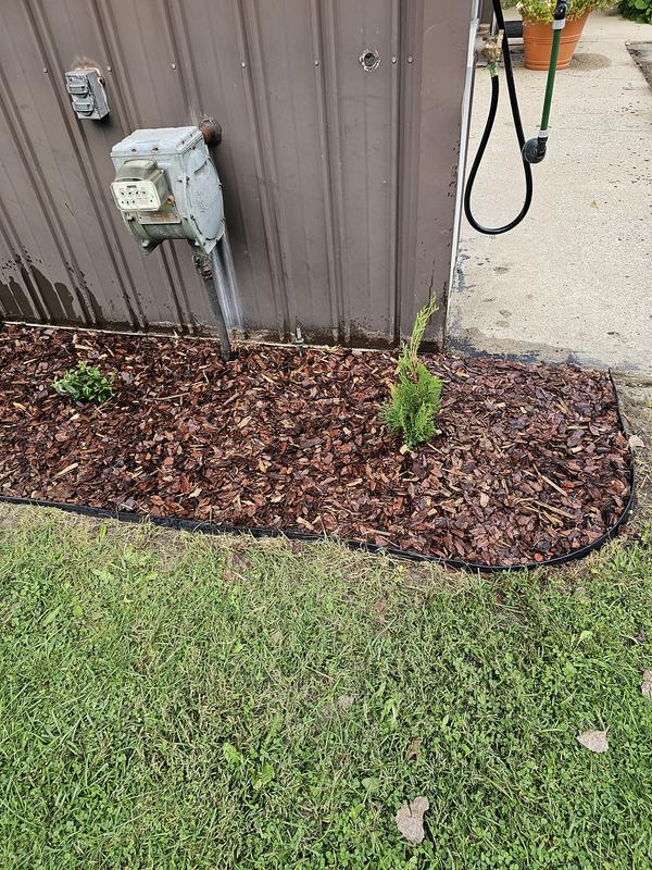We started our updated planting row with one Arborvitae, and eventually to hide the gas valve.