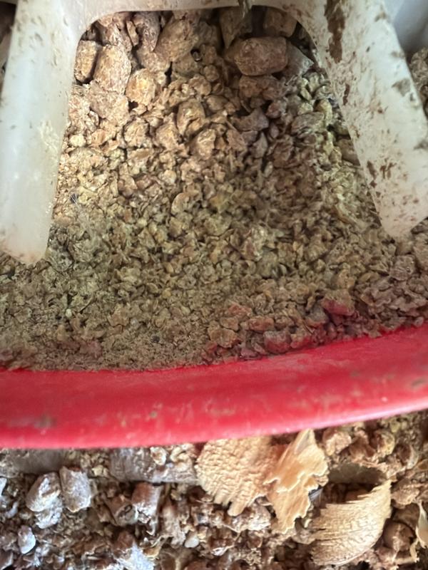 Pellet dust
