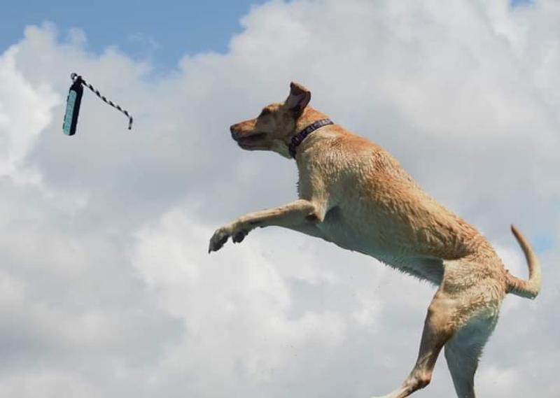 Jumping high