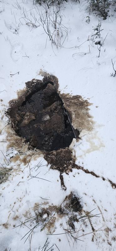 Non wool pants would have sent me hiking for the truck after finding this hole.