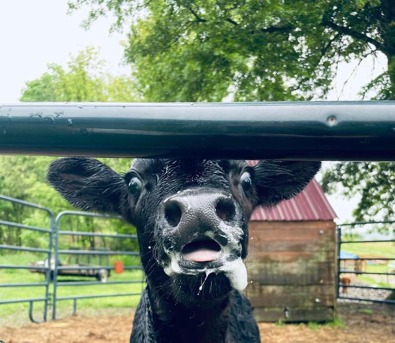 He’s happy
